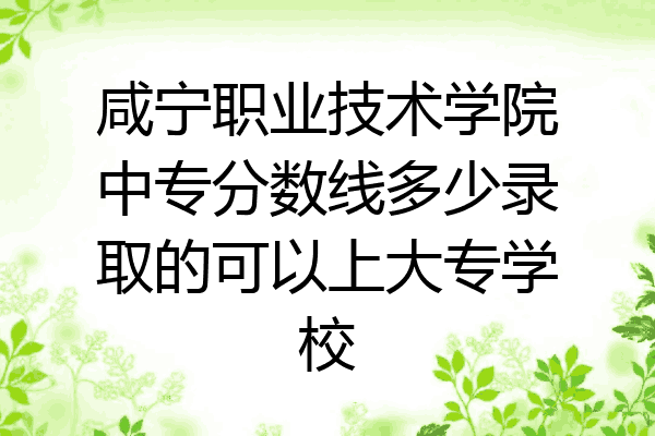 咸宁职业技术学院中专分数线多少录取的可以上大专学校