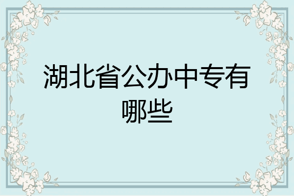 湖北省公办中专有哪些