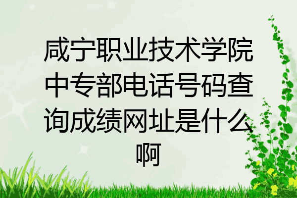 咸宁职业技术学院中专部电话号码查询成绩网址是什么啊
