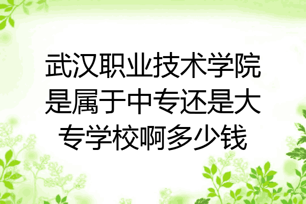 武汉职业技术学院是属于中专还是大专学校啊多少钱