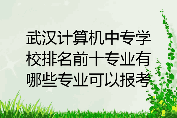 武汉计算机中专学校排名前十专业有哪些专业可以报考