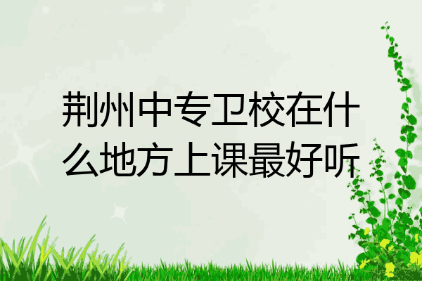荆州中专卫校在什么地方上课最好听