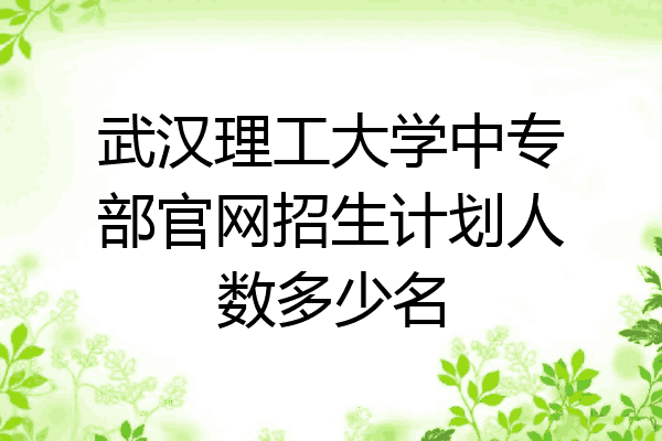 武汉理工大学中专部官网招生计划人数多少名