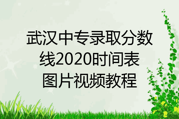 武汉中专录取分数线2020时间表图片视频教程
