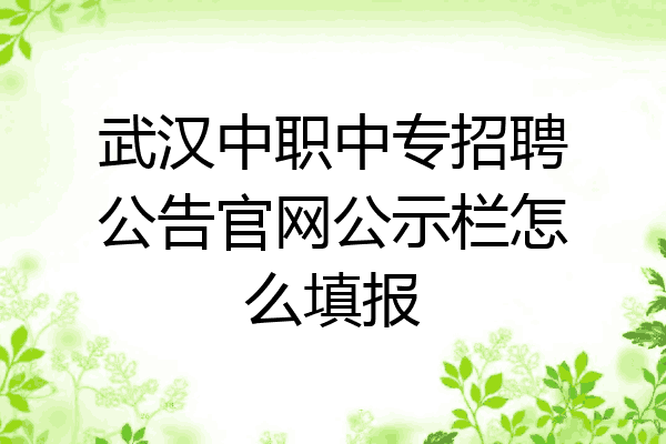 武汉中职中专招聘公告官网公示栏怎么填报