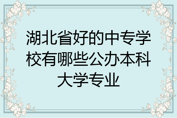 湖北省好的中专学校有哪些公办本科大学专业