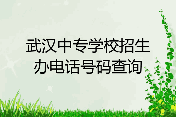 武汉中专学校招生办电话号码查询