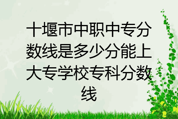 十堰市中职中专分数线是多少分能上大专学校专科分数线