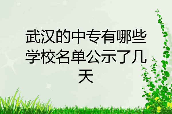 武汉的中专有哪些学校名单公示了几天