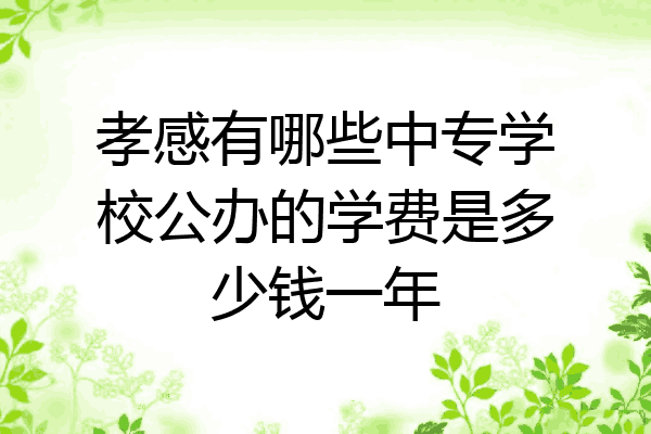 孝感有哪些中专学校公办的学费是多少钱一年
