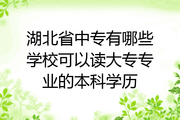 湖北省中专有哪些学校可以读大专专业的本科学历