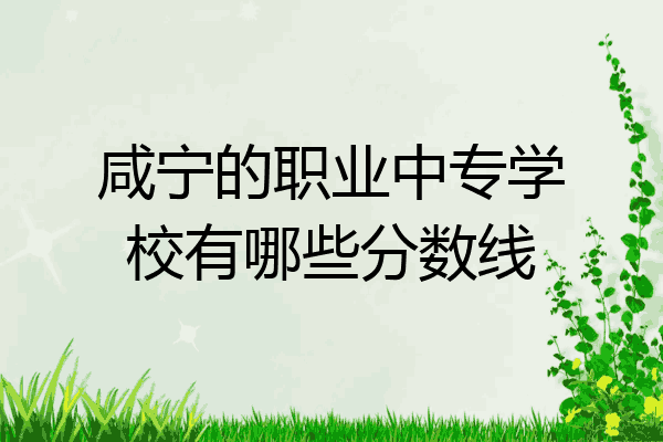 咸宁的职业中专学校有哪些分数线