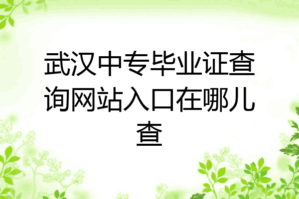 武汉中专毕业证查询网站入口在哪儿查