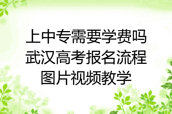上中专需要学费吗武汉高考报名流程图片视频教学