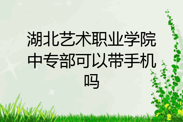 湖北艺术职业学院中专部可以带手机吗