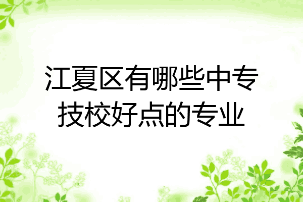 江夏区有哪些中专技校好点的专业
