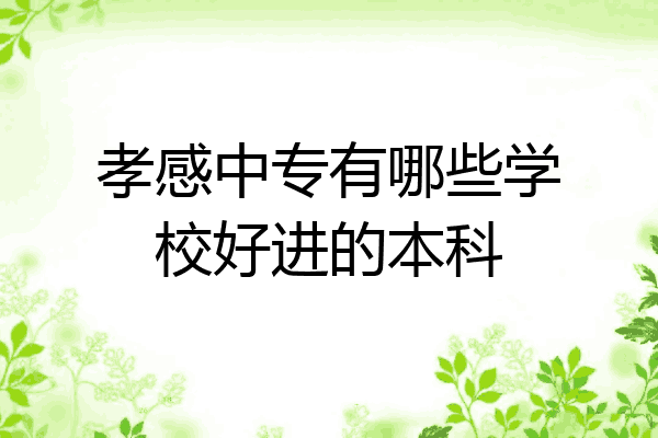 孝感中专有哪些学校好进的本科