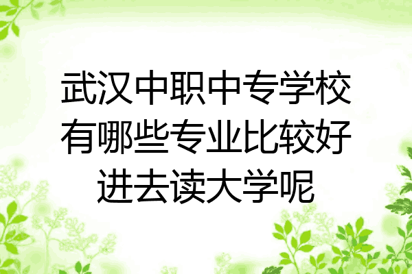 武汉中职中专学校有哪些专业比较好进去读大学呢