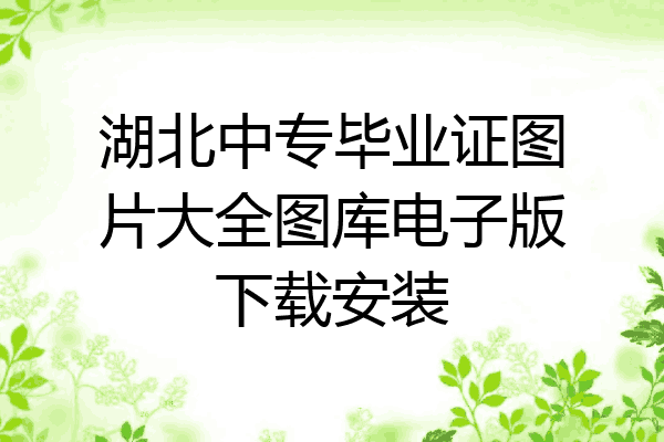 湖北中专毕业证图片大全图库电子版下载安装