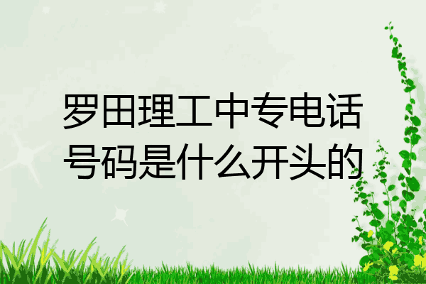 罗田理工中专电话号码是什么开头的