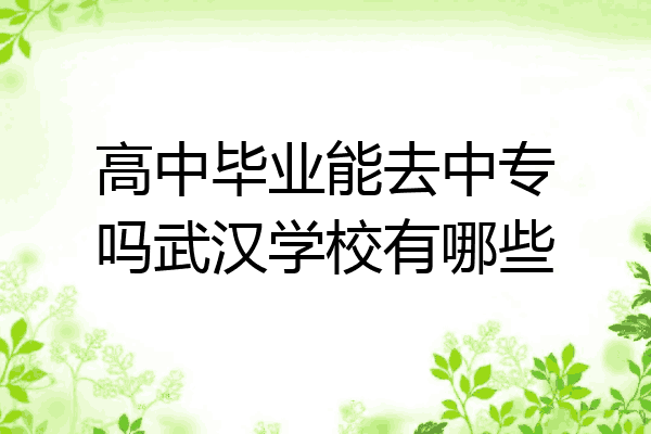 高中毕业能去中专吗武汉学校有哪些