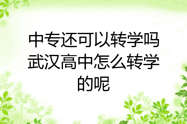 中专还可以转学吗武汉高中怎么转学的呢