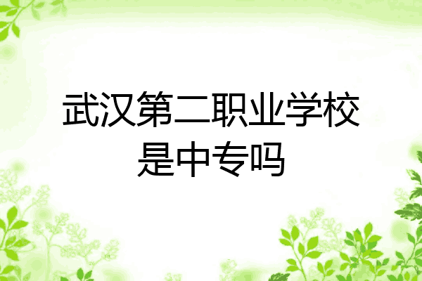 武汉第二职业学校是中专吗
