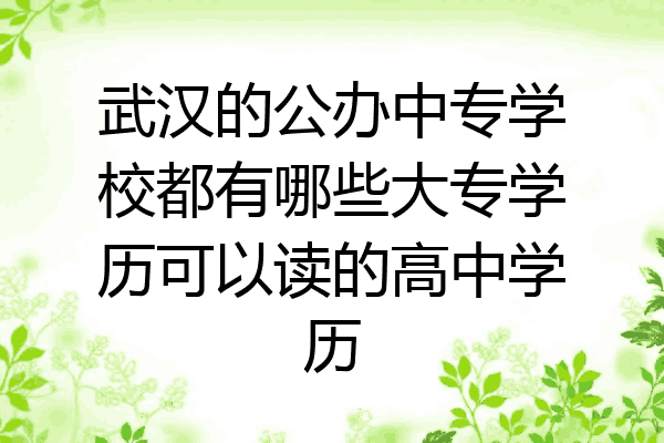 武汉的公办中专学校都有哪些大专学历可以读的高中学历