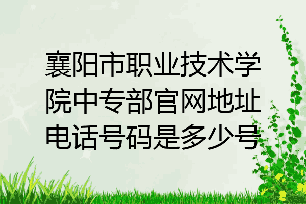 襄阳市职业技术学院中专部官网地址电话号码是多少号