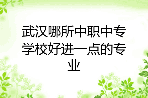 武汉哪所中职中专学校好进一点的专业