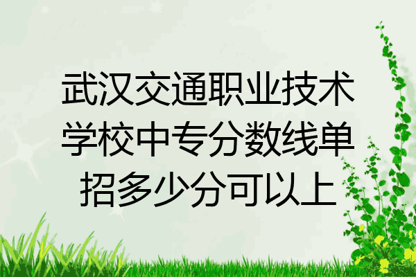 武汉交通职业技术学校中专分数线单招多少分可以上