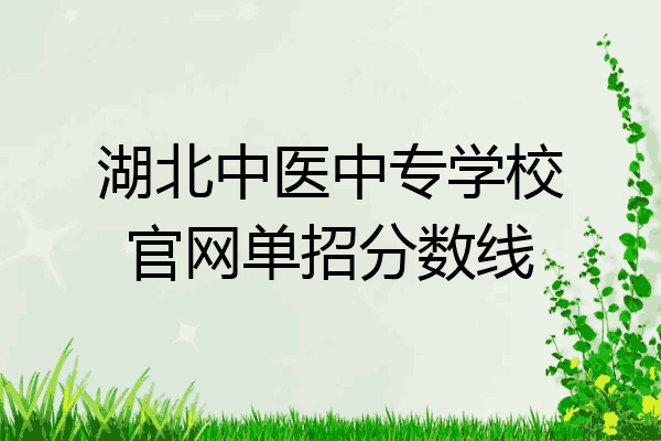 湖北中医中专学校官网单招分数线