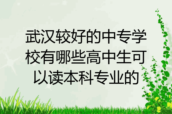 武汉较好的中专学校有哪些高中生可以读本科专业的