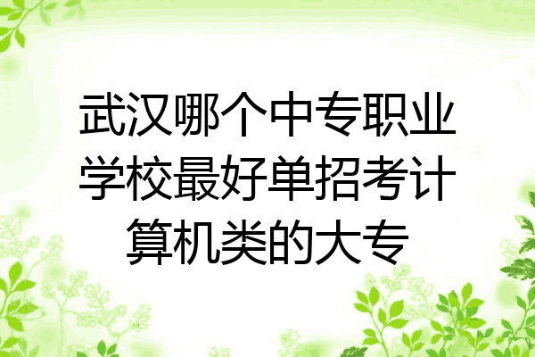 武汉哪个中专职业学校最好单招考计算机类的大专