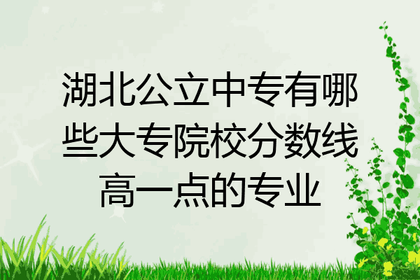湖北公立中专有哪些大专院校分数线高一点的专业