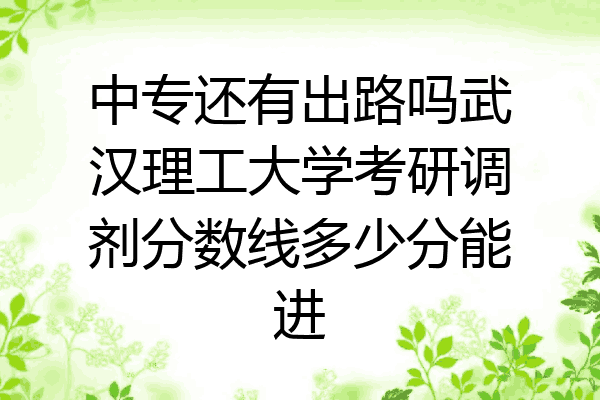 中专还有出路吗武汉理工大学考研调剂分数线多少分能进