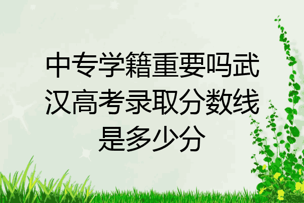 中专学籍重要吗武汉高考录取分数线是多少分