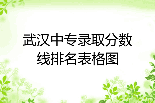 武汉中专录取分数线排名表格图