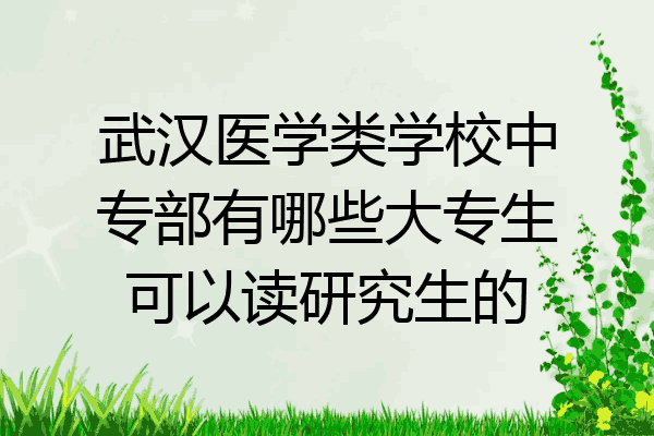 武汉医学类学校中专部有哪些大专生可以读研究生的
