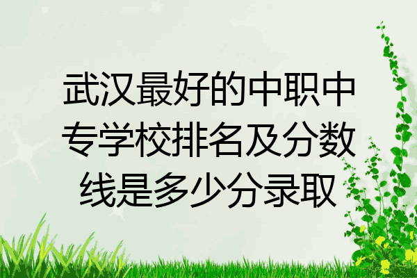 武汉最好的中职中专学校排名及分数线是多少分录取