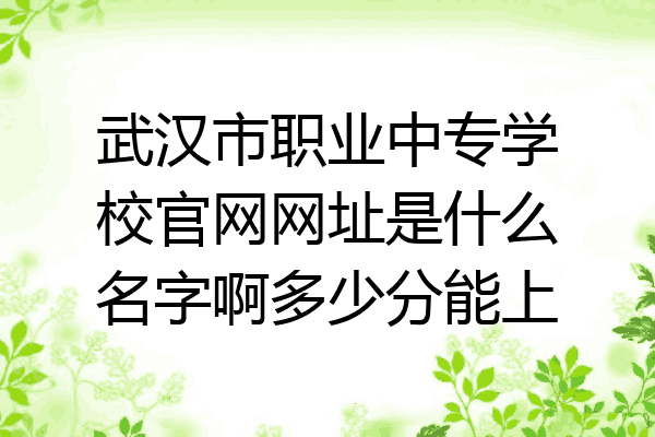 武汉市职业中专学校官网网址是什么名字啊多少分能上