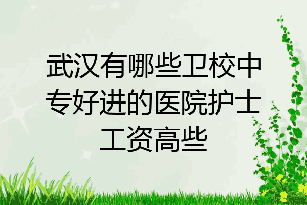武汉有哪些卫校中专好进的医院护士工资高些