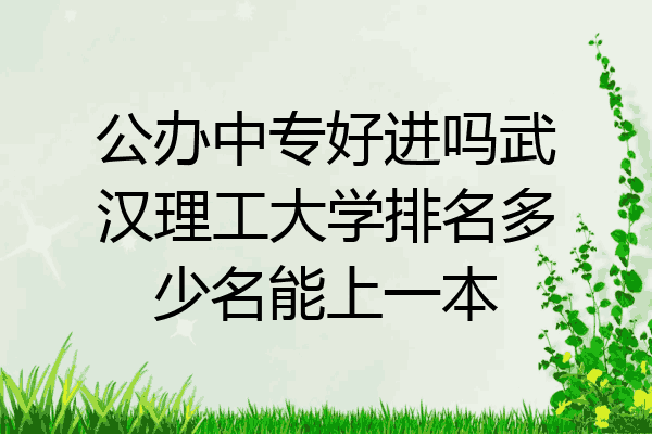 公办中专好进吗武汉理工大学排名多少名能上一本