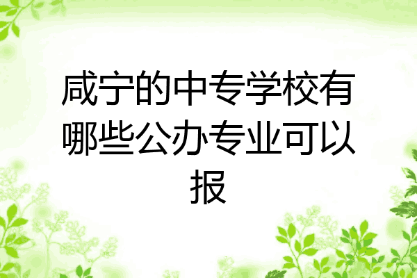 咸宁的中专学校有哪些公办专业可以报