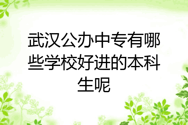 武汉公办中专有哪些学校好进的本科生呢