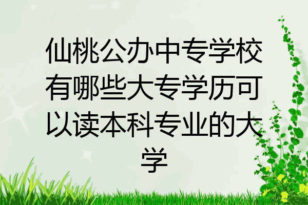 仙桃公办中专学校有哪些大专学历可以读本科专业的大学