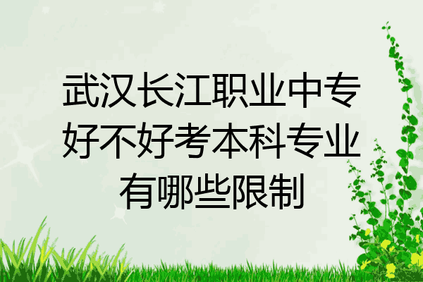 武汉长江职业中专好不好考本科专业有哪些限制