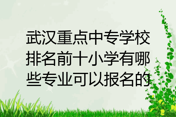 武汉重点中专学校排名前十小学有哪些专业可以报名的