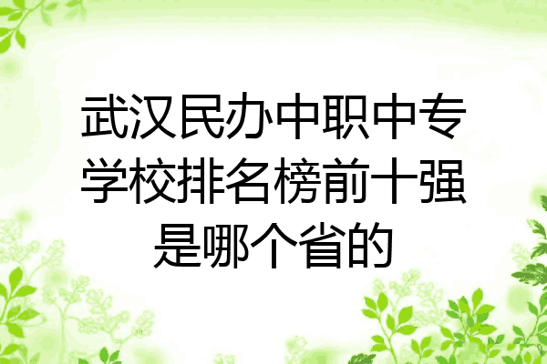 武汉民办中职中专学校排名榜前十强是哪个省的
