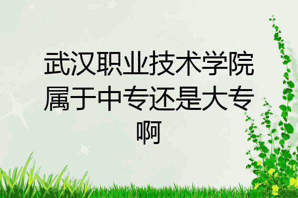 武汉职业技术学院属于中专还是大专啊